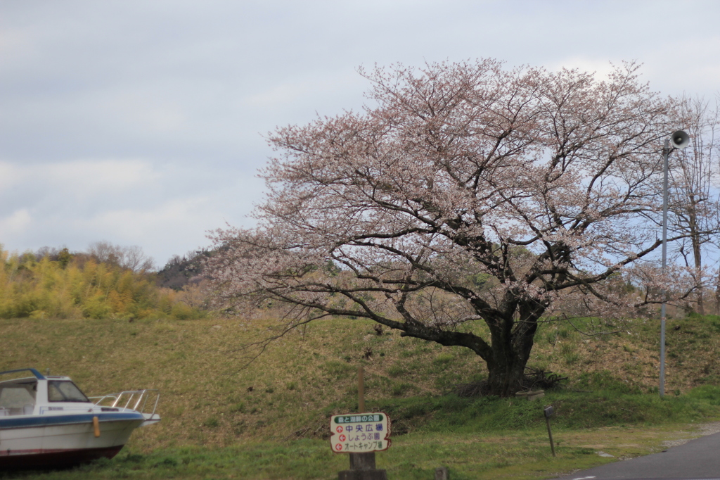 芝生の上にボート？