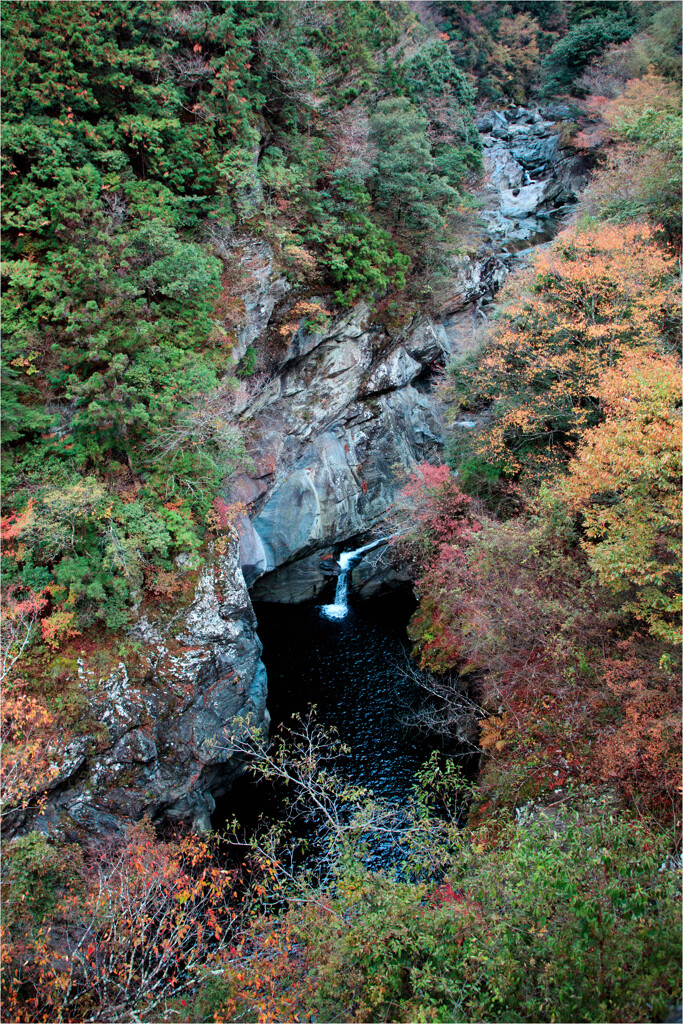 紅葉の中の小さな滝