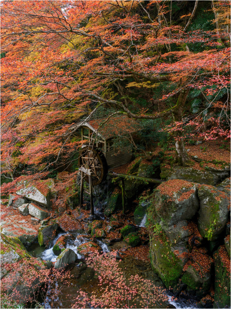 水車小屋のある風景