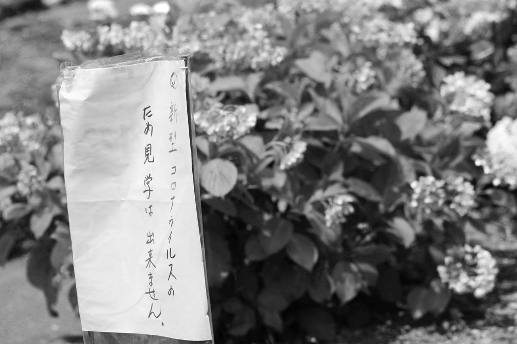 ここにもコロナ禍