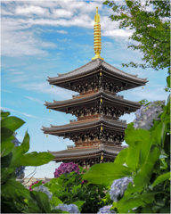 五重塔と紫陽花