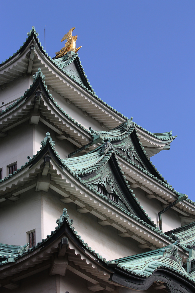 金鯱を従えて