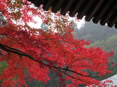 西条市・西山興隆寺