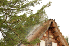 萱葺き屋根から蒸気