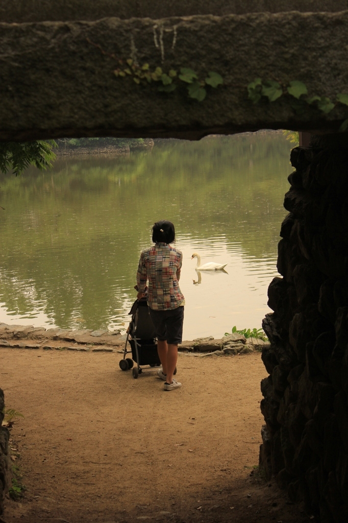 母と子と白鳥