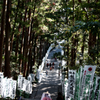 熊野神社参道