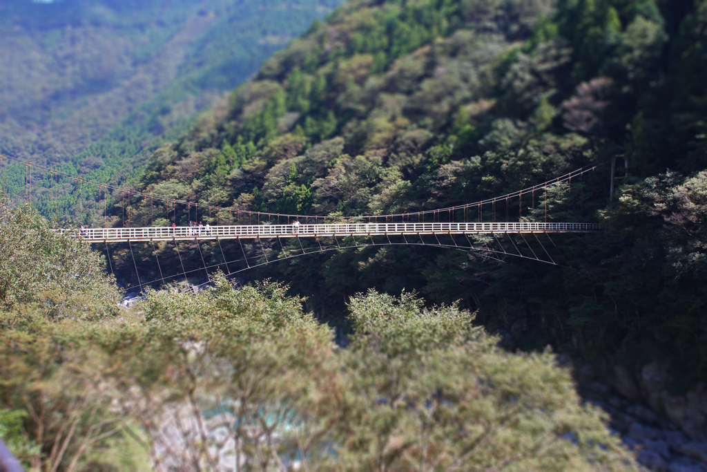 渓谷のつり橋