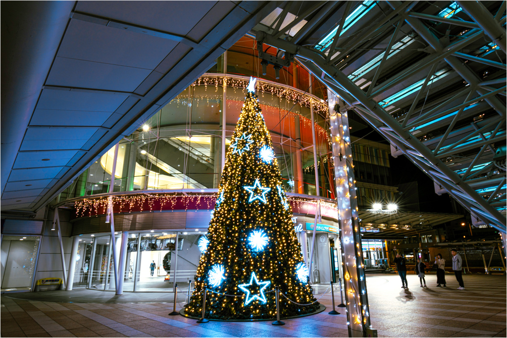 シンボルタワー下のツリー