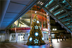 シンボルタワー下のツリー