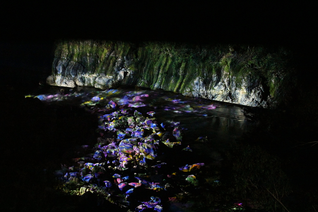 川面に映る四季の花