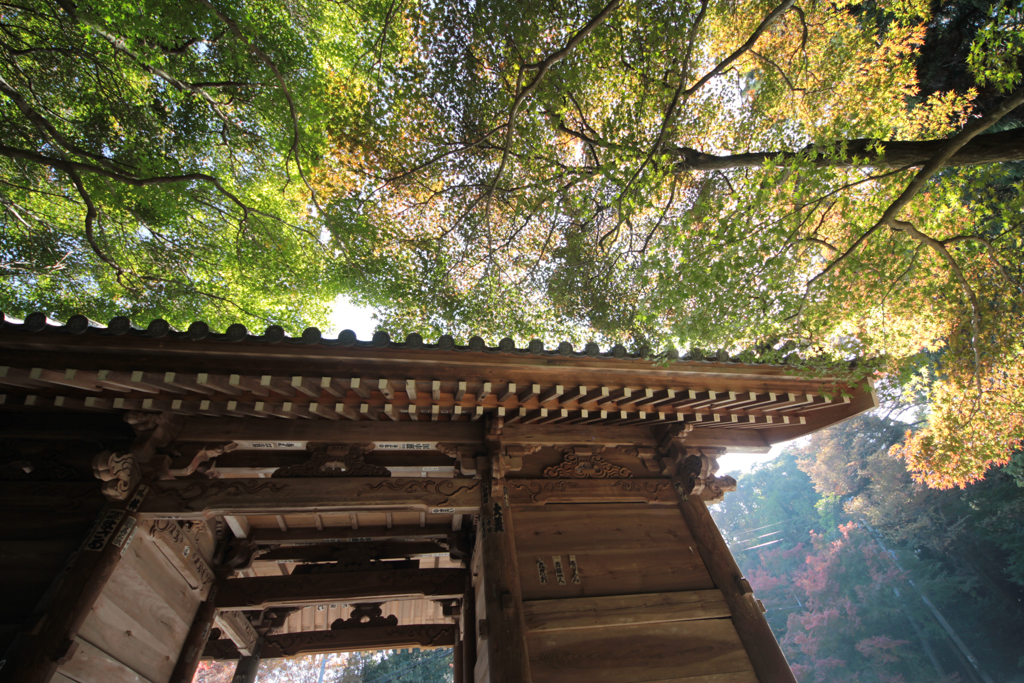 山門に