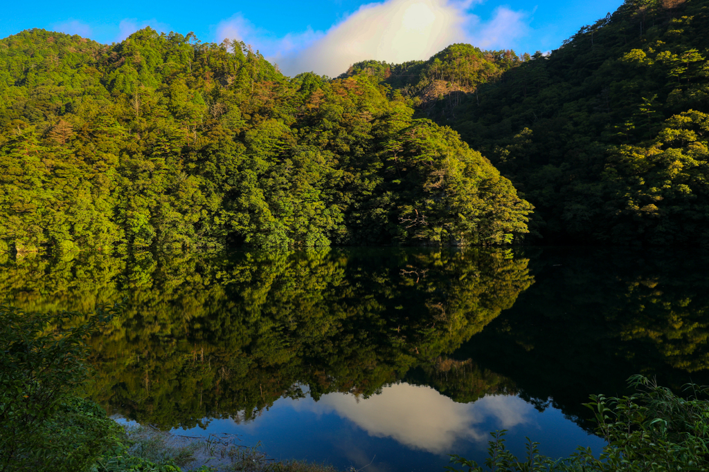 満水の湖面に水鏡