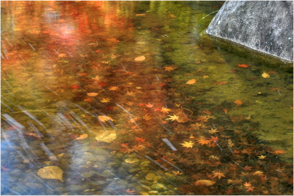 川底に沈んだ秋色