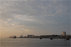 RORO船が入港
