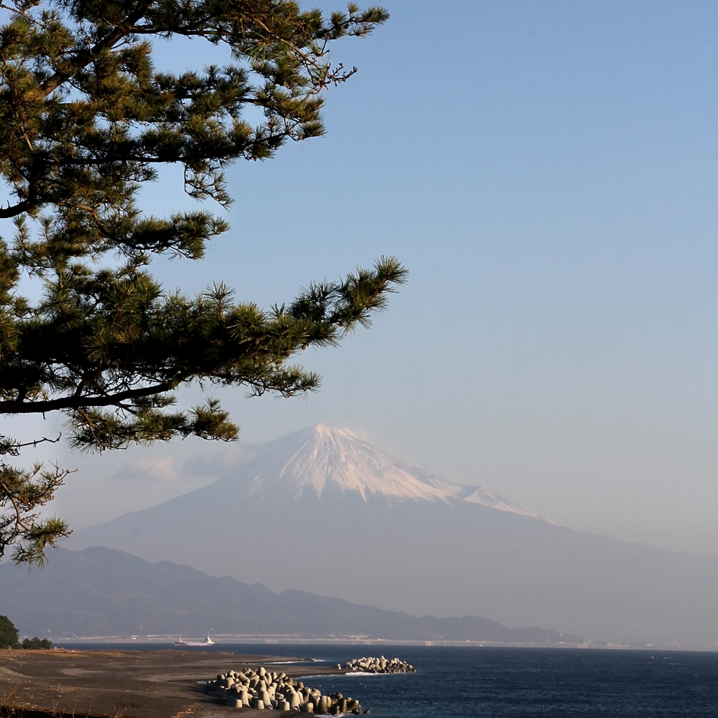三保の松原より富士を観る