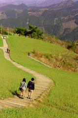 まだ咲かぬ高原で。