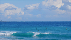 見慣れない大波