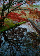 どっちが主役？