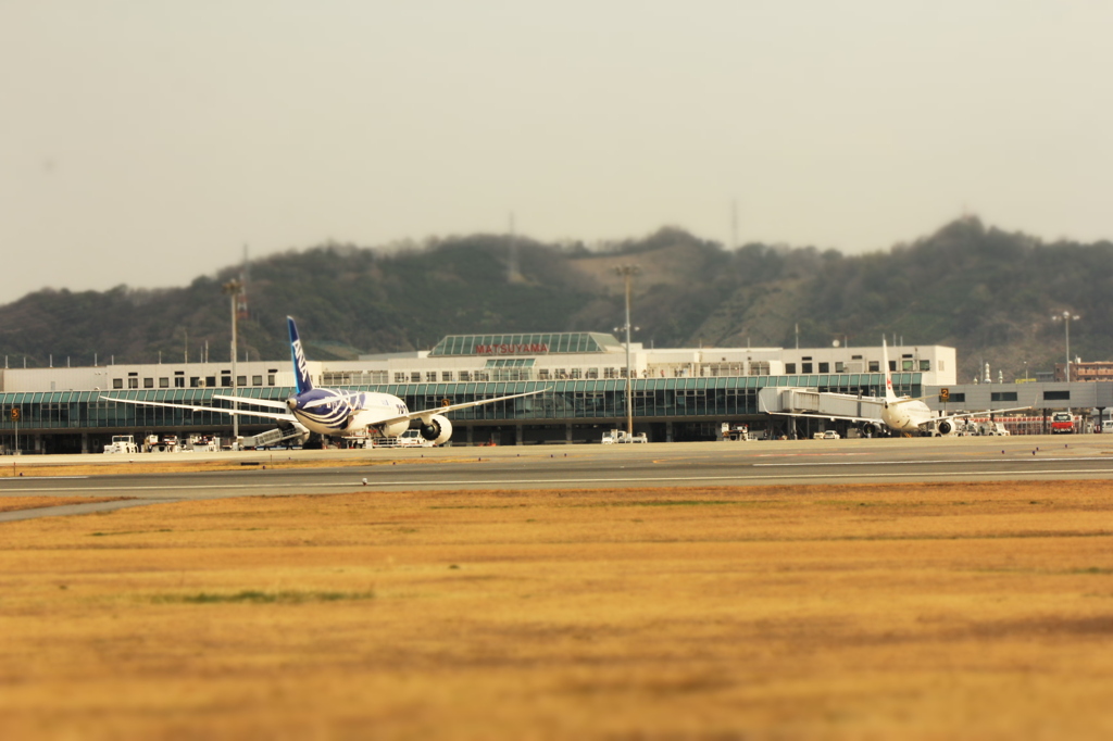 全日空と日本航空