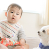 視線を送る犬
