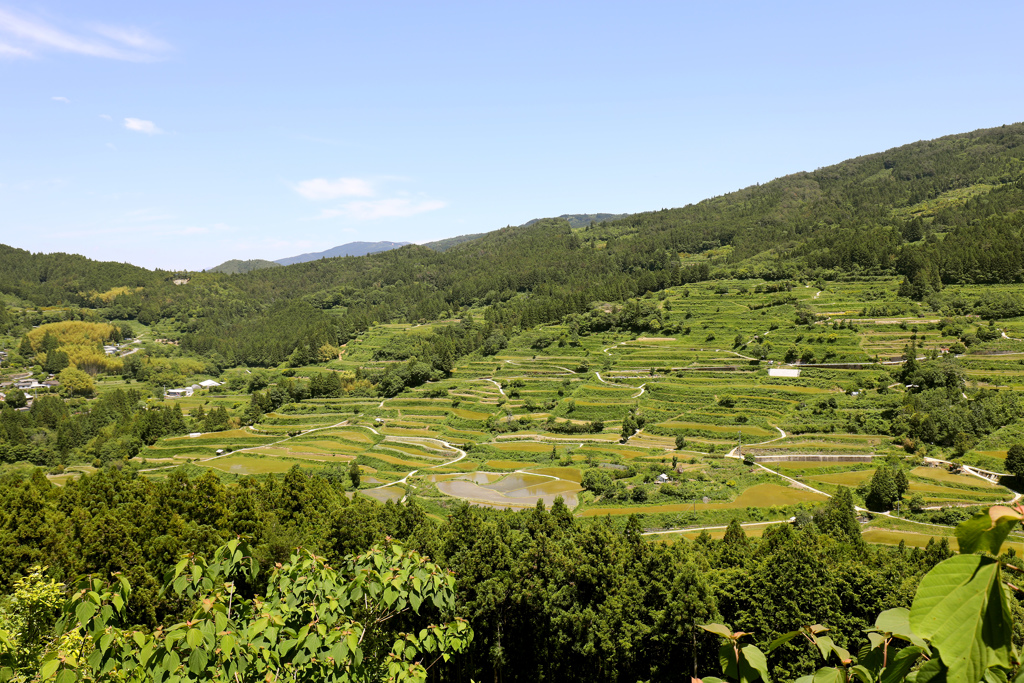 吉延の棚田