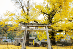 高松・岩部八幡神社