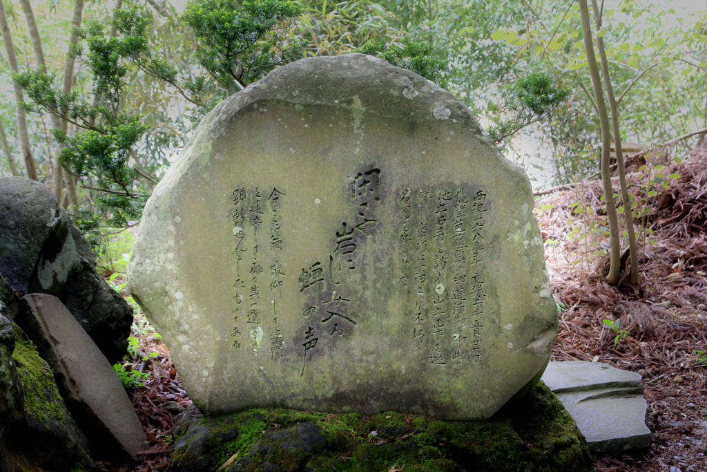 私でも知ってる。
