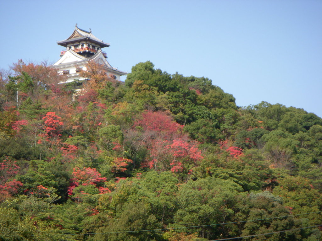 川之江城天守と紅葉