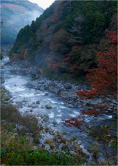 朝霧残る渓谷にて