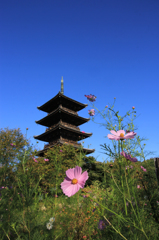 青い空と備中国分寺