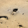 足跡 -ashiato-