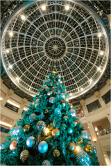 ドーム下のツリー