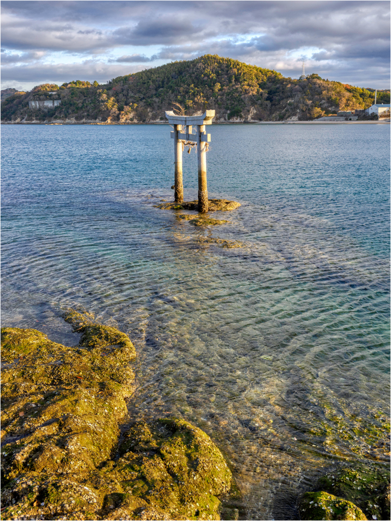 参拝。水中鳥居