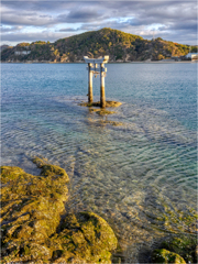 参拝。水中鳥居