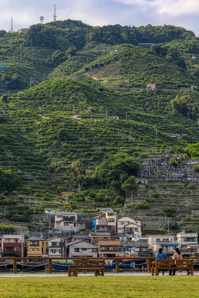 段々畑のある光景