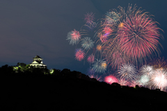 川之江の夜の夢