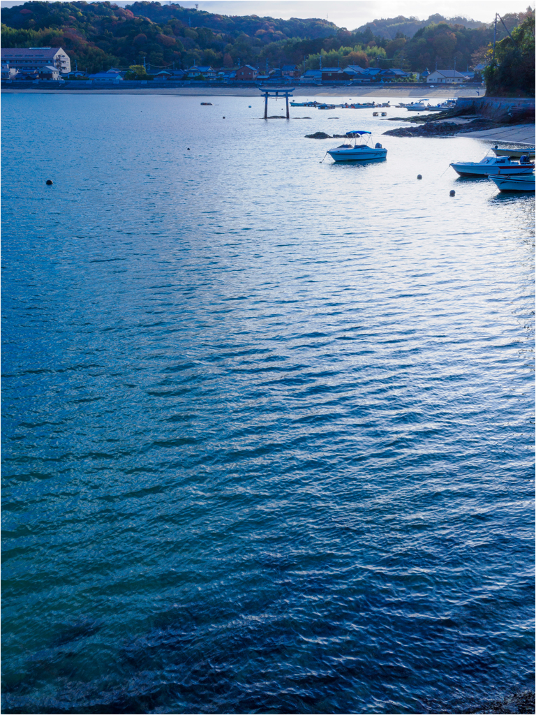 ポツンと海の中に鳥居さん