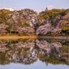 朝日 X リフレクション