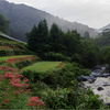 土佐山の彼岸花