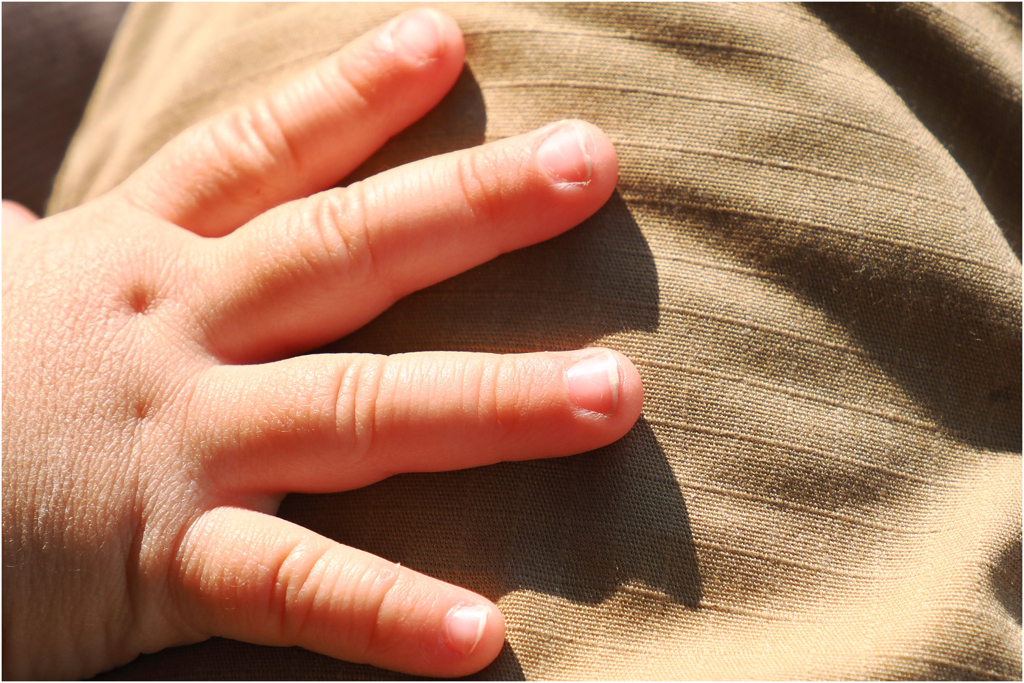 かわいいもみじ