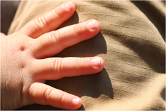 かわいいもみじ