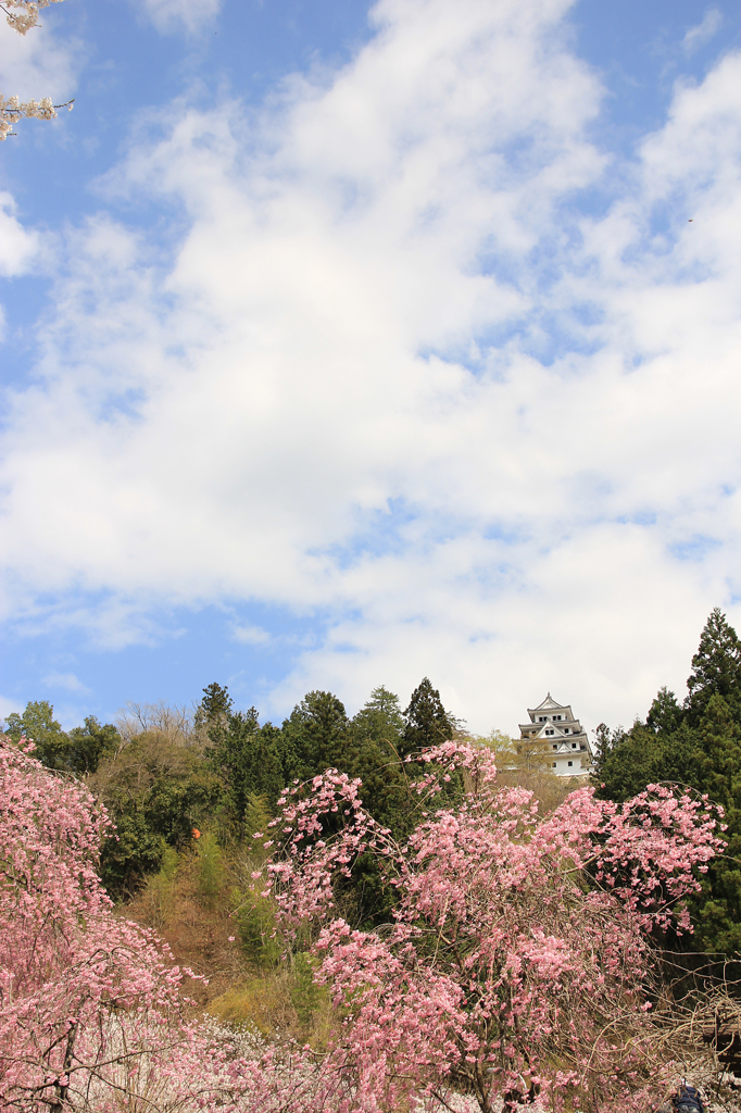 郡上八幡城