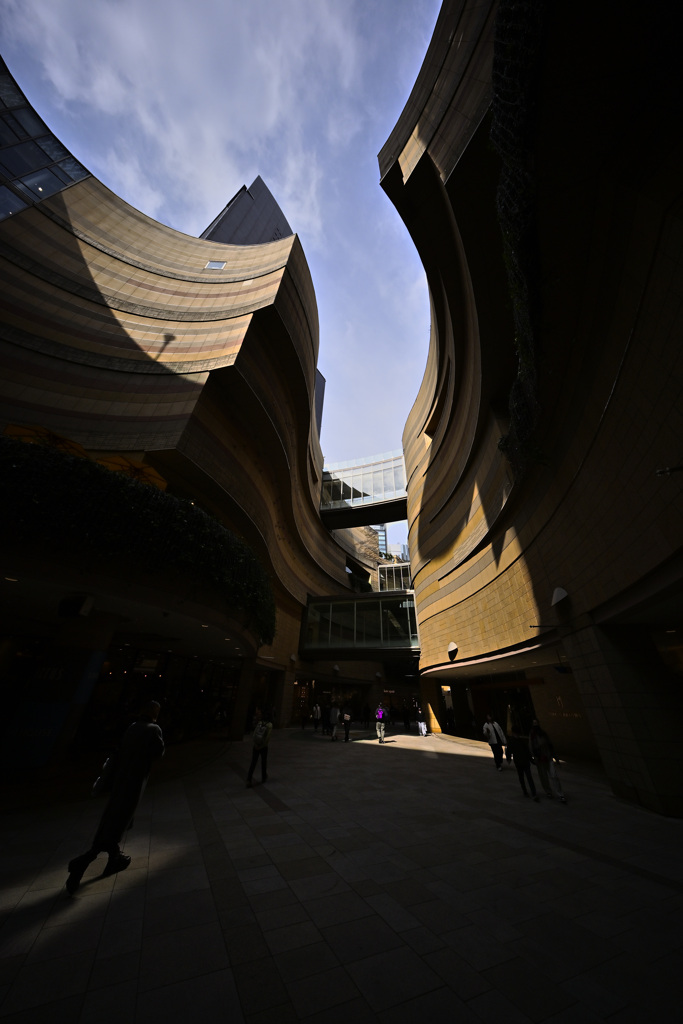 Z63_1367_2439