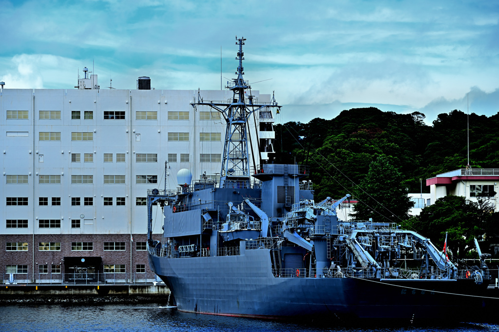 Z6S_9977