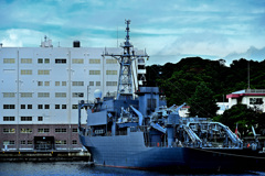 Z6S_9977