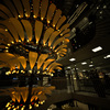 Z63_2114_3179