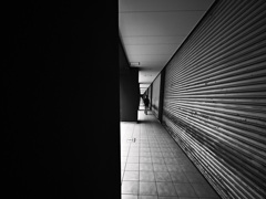 Z63_3532_4589