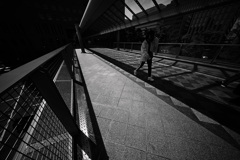 Z63_3699_4756