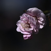 Z63_1661_2727