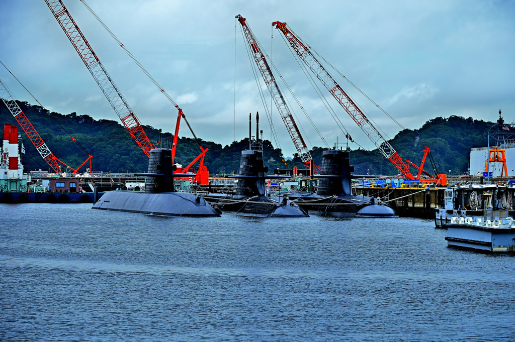 Z6S_9904
